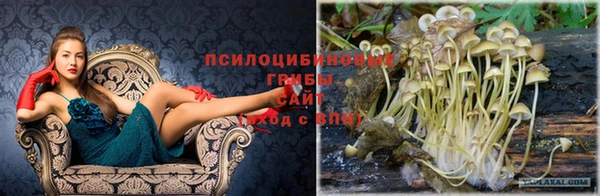 а пвп мука Волоколамск